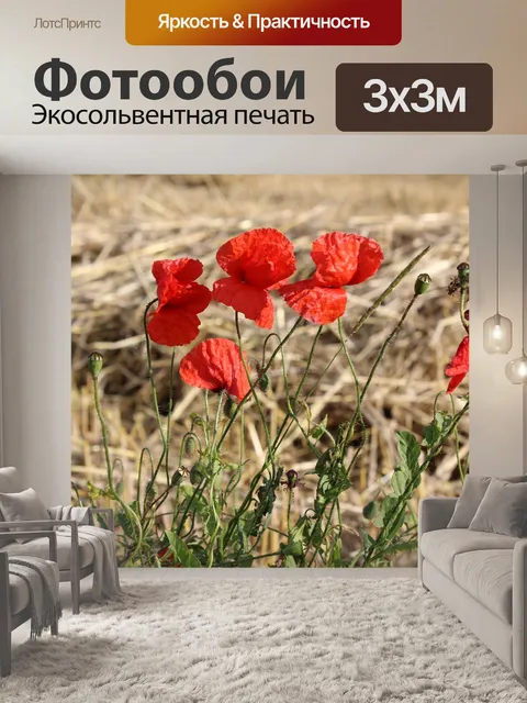 Фотообои Маки