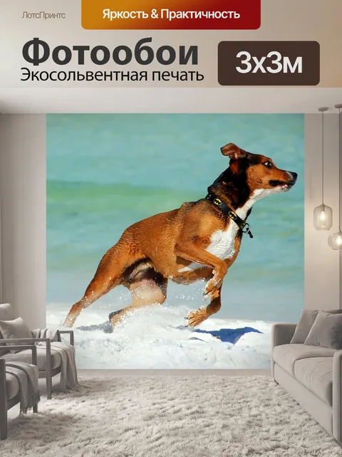 Фотообои Собака