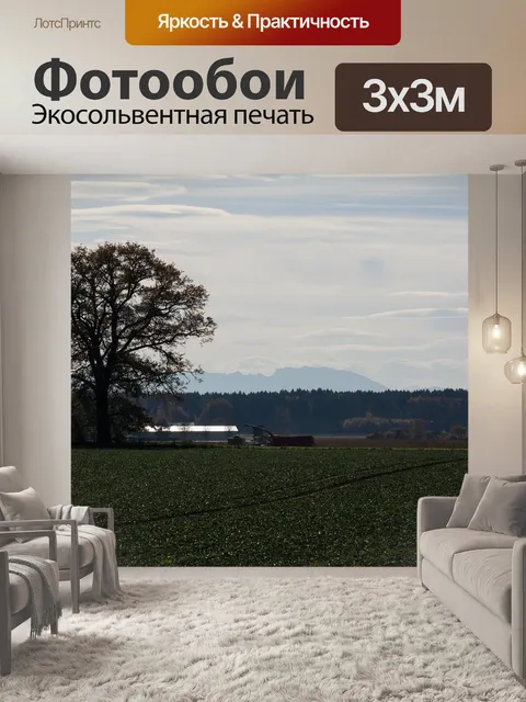 Фотообои Фен