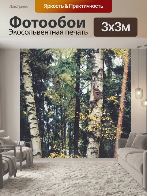 Фотообои Лес