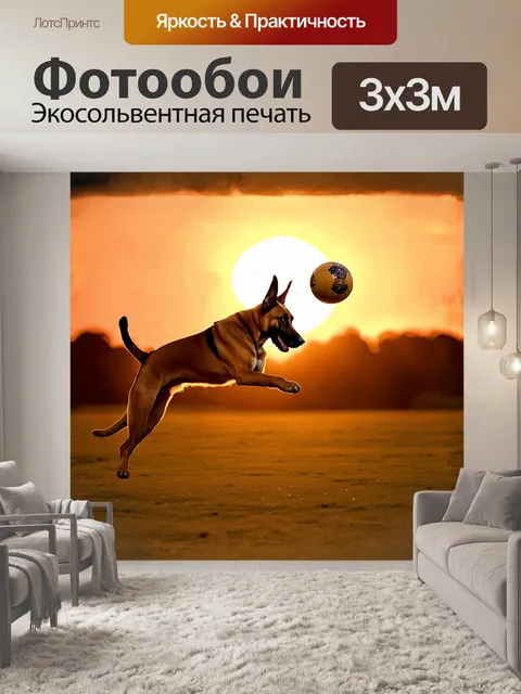 Фотообои малинуа, выполняющая акробатический трюк с мячом, взлетает в воздух на фоне заката