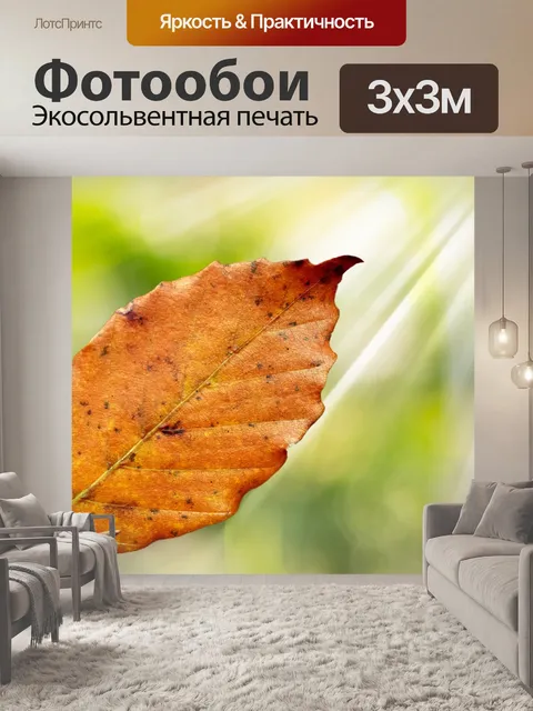 Фотообои Лист букового дерева