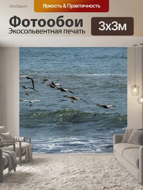 Фотообои Пеликан
