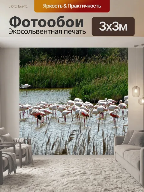 Фотообои Фламинго