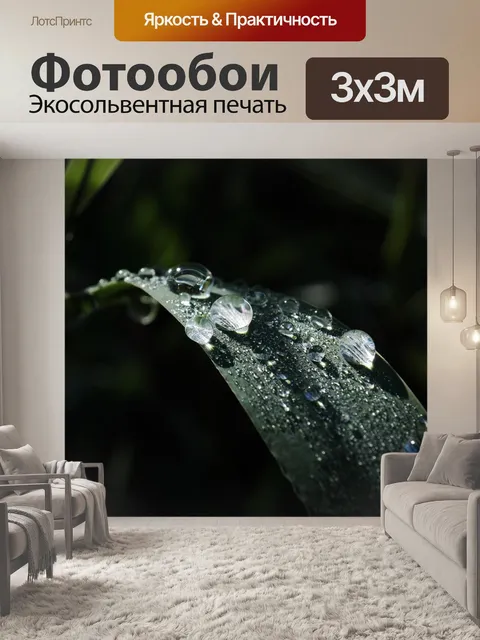 Фотообои Роса