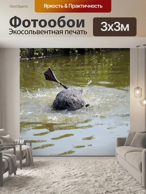 Фотообои Черный лебедь Series 2 водный балет 2