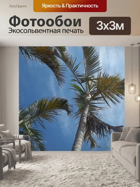 Фотообои Дерево пальмы