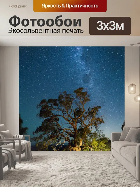 Фотообои Ночь