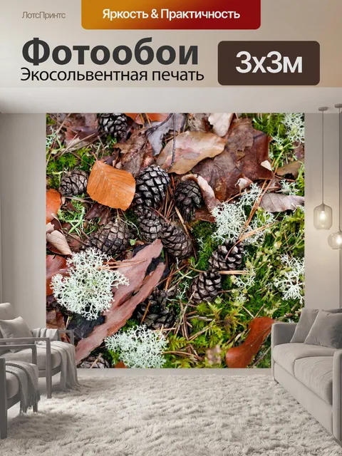 Фотообои Шишка