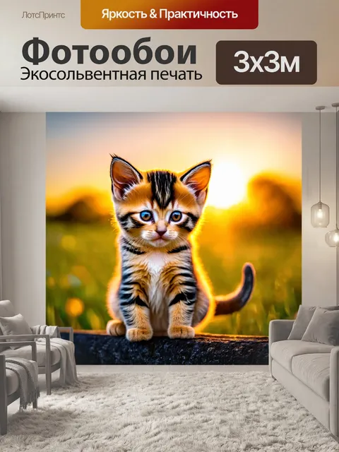 Фотообои котенок, наблюдающий за прекрасным закатом