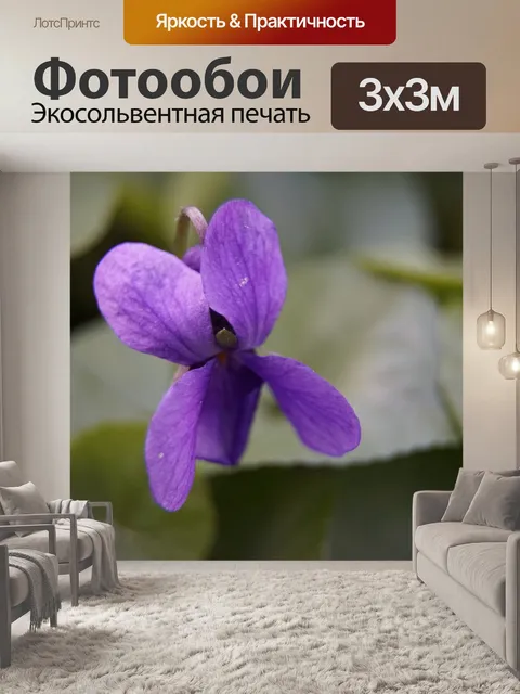 Фотообои Фиолетовый