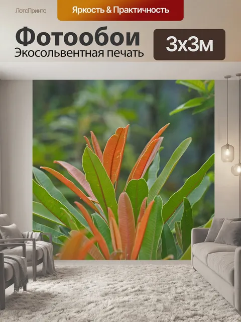 Фотообои зеленые и ржавые листья на кончике расте
