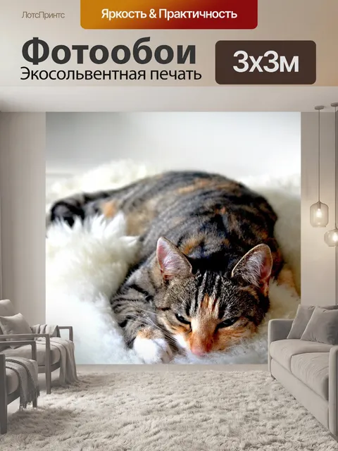 Фотообои Кошка