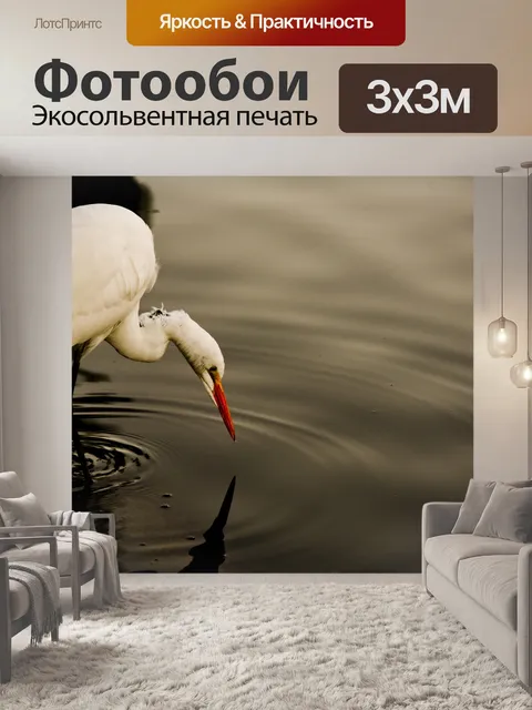 Фотообои Большая белая цапля Рыбалка