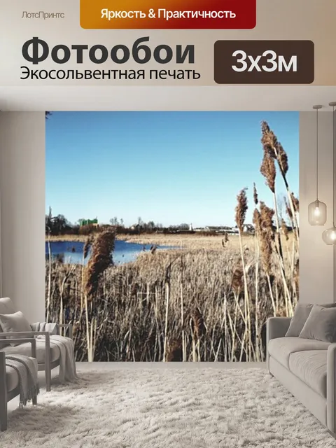 Фотообои Панорама