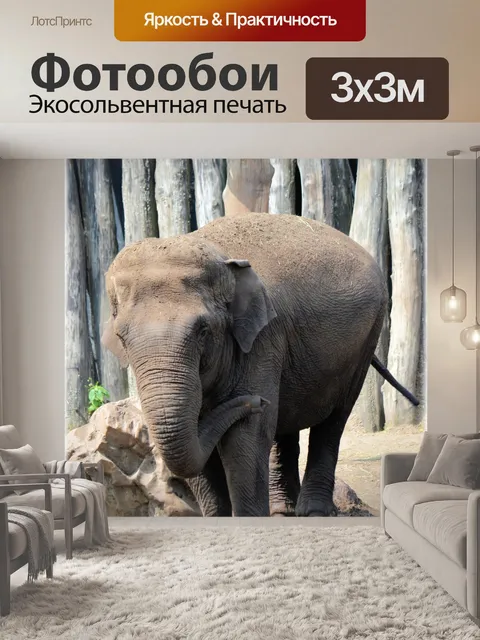 Фотообои В ванне со слонами 12