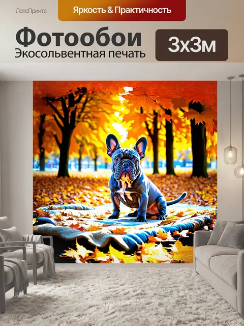 Фотообои в центре городского парка синий французский бульдог