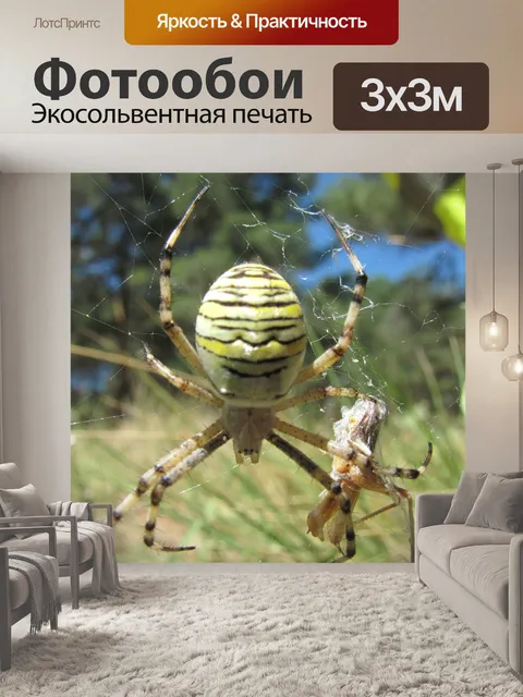 Фотообои Насекомое