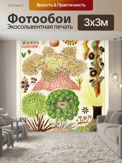 Фотообои Большой Барьерный Риф Винтаж