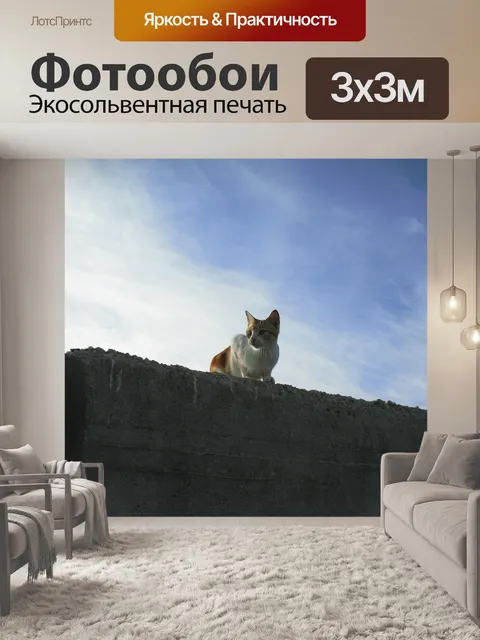 Фотообои Кот