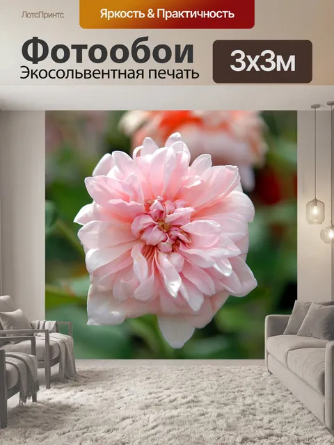 Фотообои Розовые розы