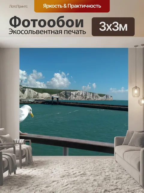 Фотообои Чайка