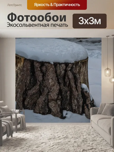 Фотообои Дерево пень с вершиной снега