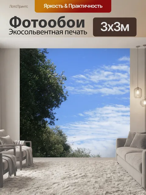 Фотообои дикая маслина против голубого неба