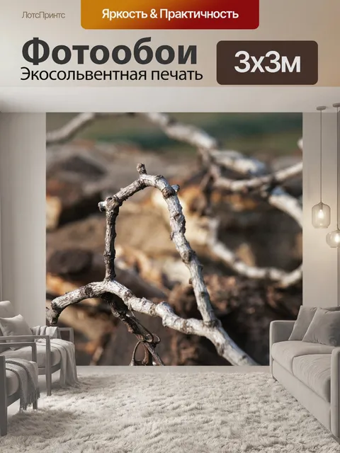 Фотообои солнечный свет на сухих серых ветвях
