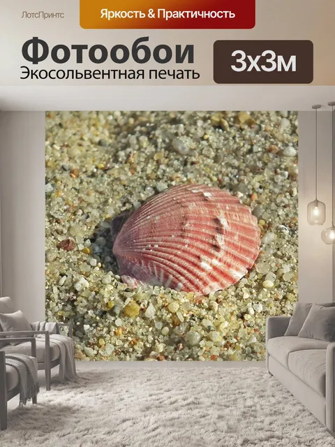Фотообои Морская раковина