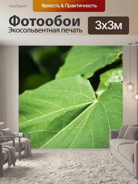 Фотообои лист