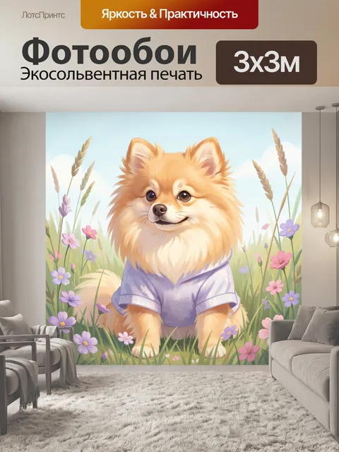Фотообои Шпиц среди полевых цветов