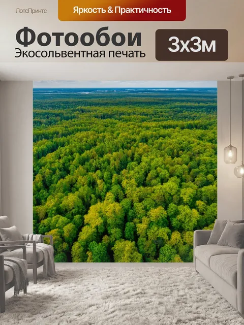 Фотообои кадр с высоты птичьего полета над лесом, захватывающие виды