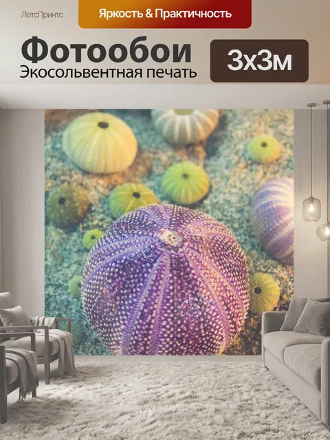 Фотообои красочные морские ежи