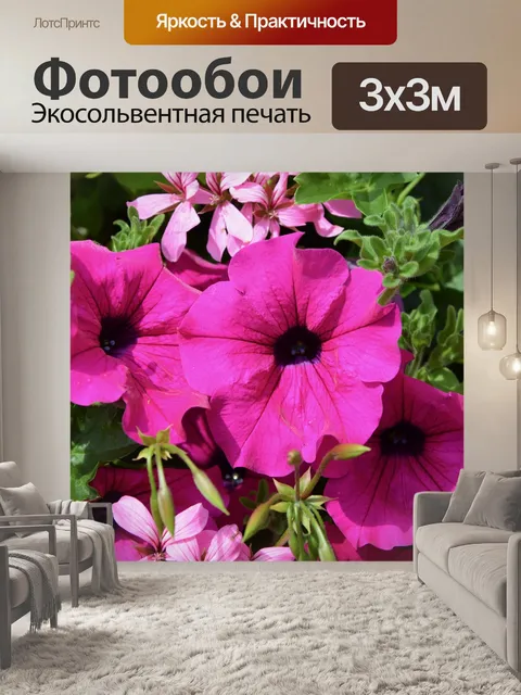 Фотообои Петуния