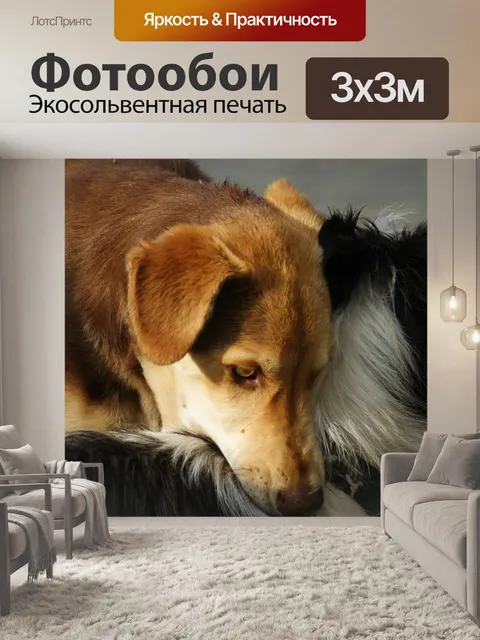 Фотообои Собаки