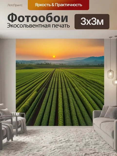 Фотообои кофейные поля на закате