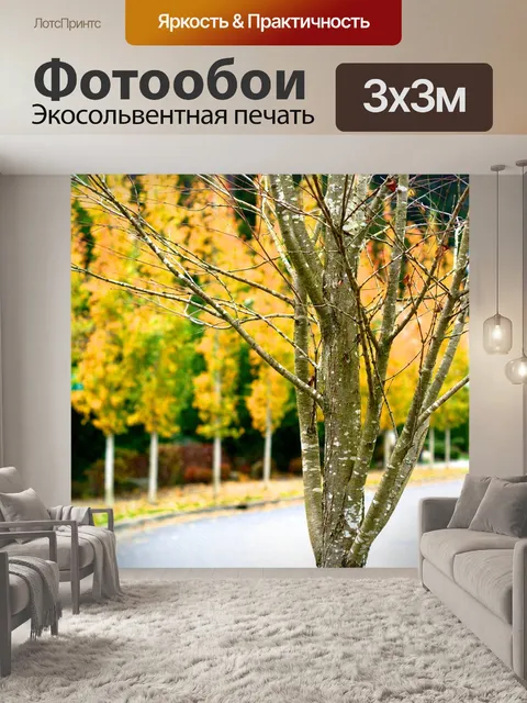 Фотообои Деревья
