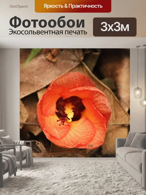 Фотообои цветок гибискуса на лесной подстилке
