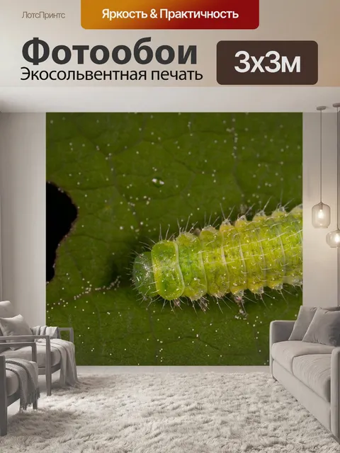 Фотообои Макро
