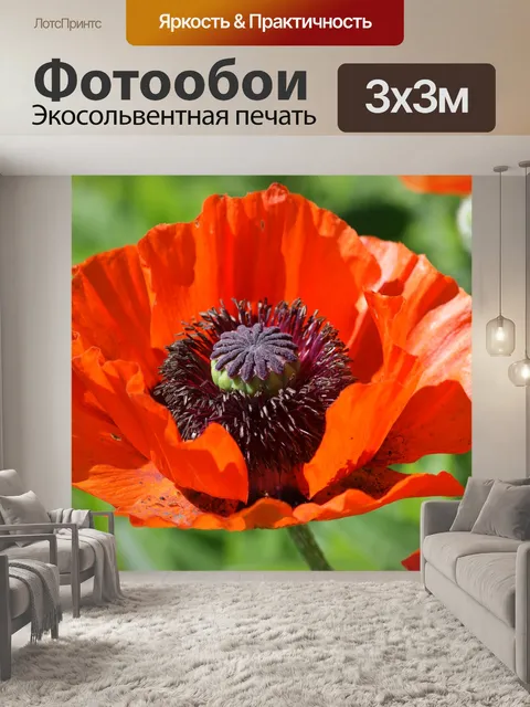Фотообои Мак
