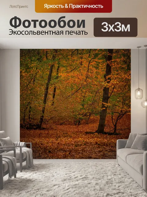 Фотообои коричневый осенний лес, где деревья теряют листву