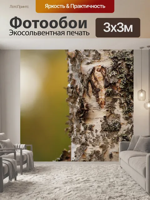 Фотообои Лес