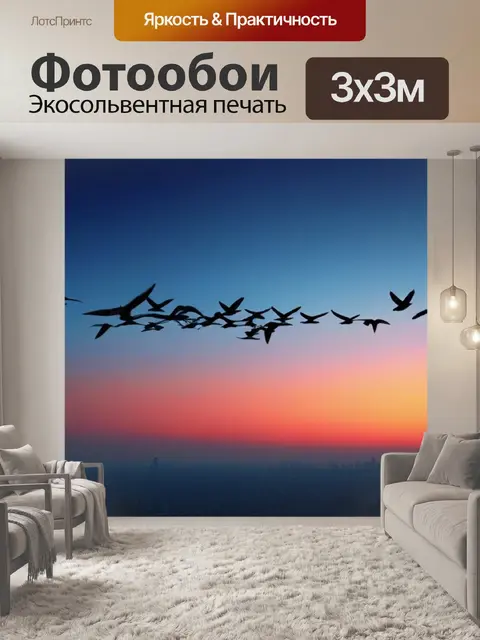 Фотообои птицы улетают на фоне рассвета