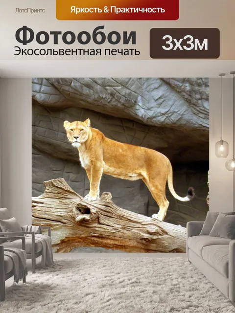 Фотообои Львица