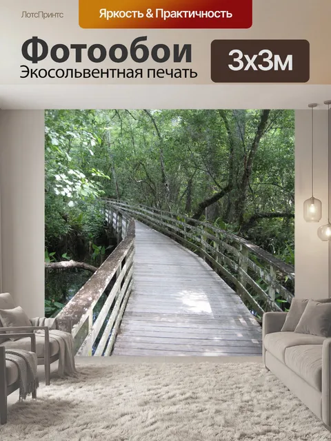 Фотообои Лес Прогулка