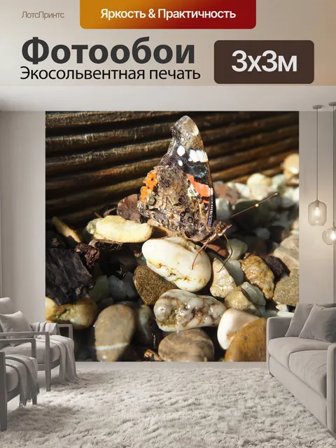 Фотообои Бабочка