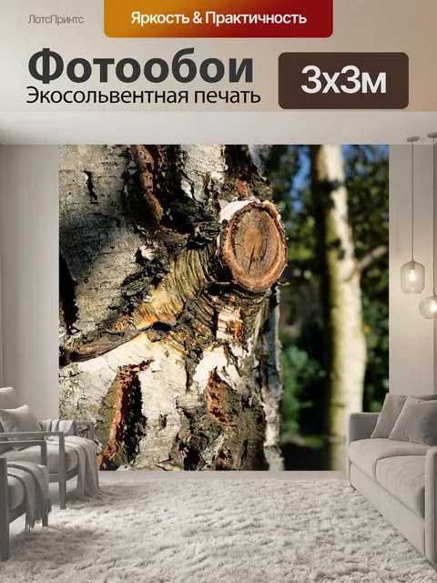 Фотообои Берёза
