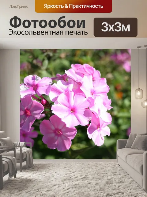 Фотообои Флокс розовый