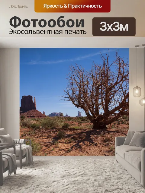 Фотообои Долина монументов